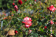 image0295