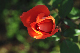image0297