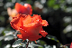 image0298