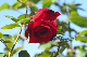 image0301