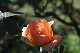 image0302