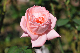 image0304