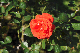image0307