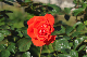 image0308