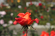 image0310