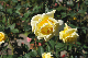 image0311