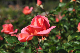 image0314