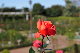image0316