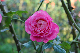 image0317