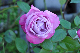 image0319