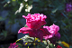image0323