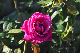 image0324