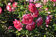 image0325