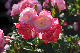 image0328