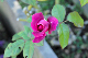 image0330