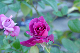 image0331