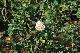 image0334