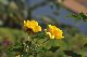 image0340