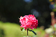 image0343
