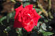 image0346
