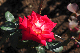 image0347