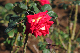 image0348