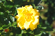 image0350