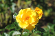 image0351