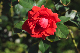 image0352