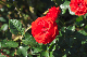 image0354