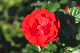 image0355