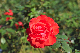 image0357