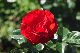 image0358