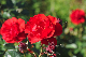 image0359