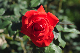 image0360