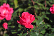 image0361