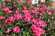 image0362