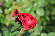 image0364