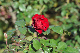 image0365