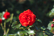 image0367