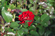 image0368