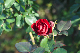 image0370