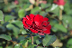 image0371