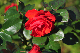 image0372