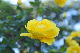 image0373