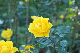 image0374