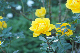 image0375