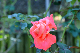 image0376