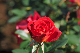 image0378
