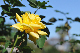 image0379